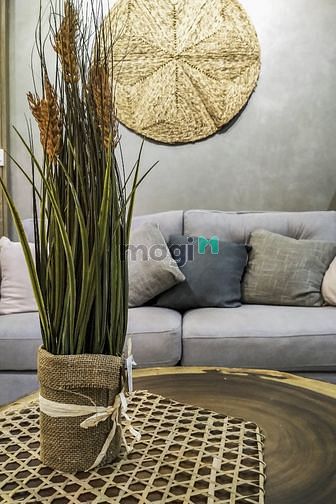 Hình ảnh Cho thuê OT Sunrise cityview 38m2 full nội thất giá 12tr/tháng