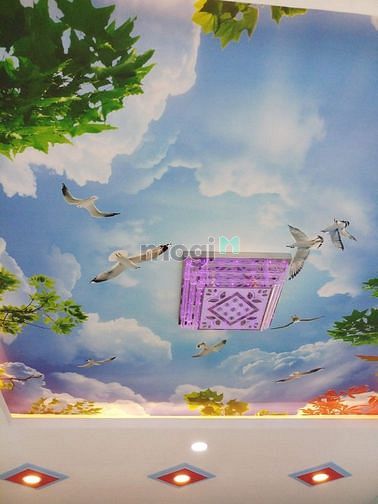 Hình ảnh Bán nhà Lê Đình Cẩn binh Tân 170m2 shr 4 phòng ô tô
