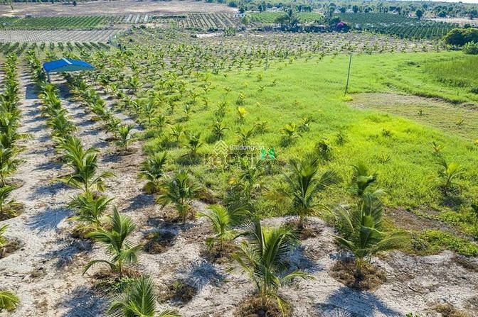 Hình ảnh Cần tiền bán lô đất 21913m2, 3 MT, Hoà Thắng, Bắc Binh, Bình Thuận.