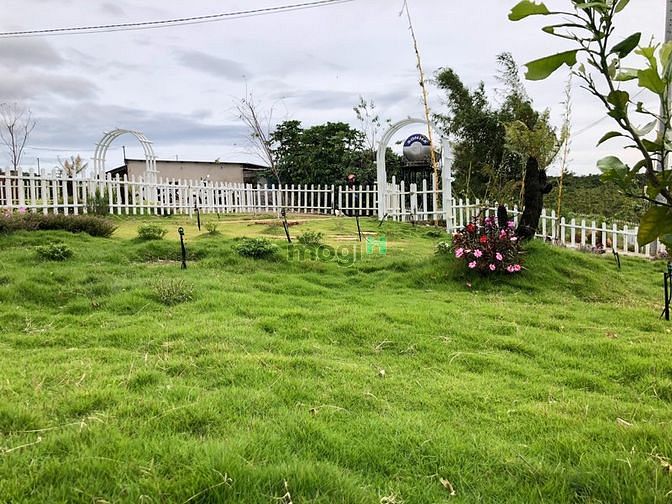 Hình ảnh Cần bán lô đất thổ cư view cực đẹp ngay trung tâm
