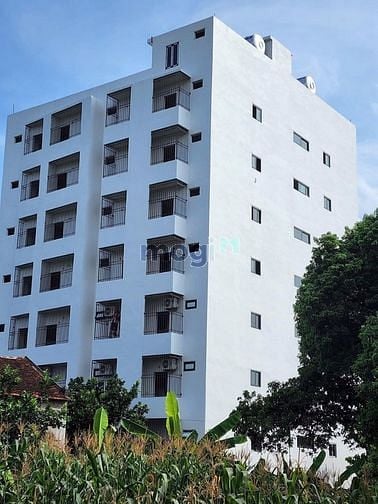 Hình ảnh Chủ gửi bán 237m Thôn 3,Tân Xã Giáp CNC Hòa Lạc,ĐH FPT chỉ hơn 2,x tỷ