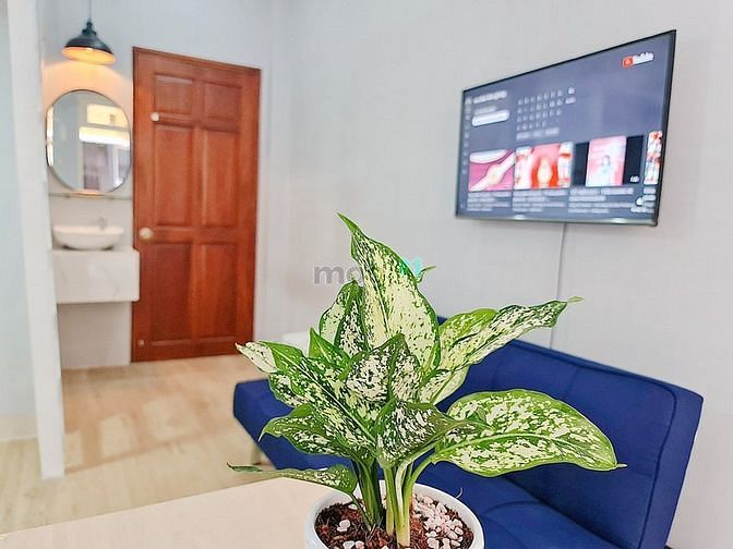 Hình ảnh 🔥Căn Hộ Cao Cấp Full Nội Thất TÂN HƯƠNG - TÂN PHÚ🔥