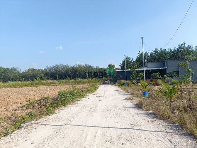 Hình ảnh Đất Dầu Tiếng gần trung tâm xã Minh Tân 1000m2 665tr SHR hỗ trợ vay