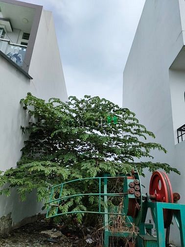 Hình ảnh ✅Lô Đất CUỐI CÙNG – Hẻm nhựa 8M- 4x24m, 11.5 Tỷ ✅