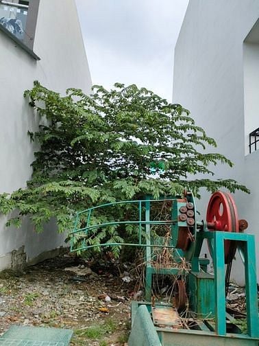 Hình ảnh ✅Lô Đất CUỐI CÙNG – Hẻm nhựa 8M- 4x24m, 11.5 Tỷ ✅