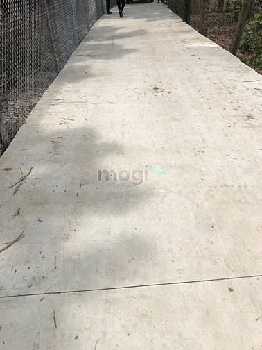 Hình ảnh Bán Đất Phú Giáo 250m2 giá 350tr