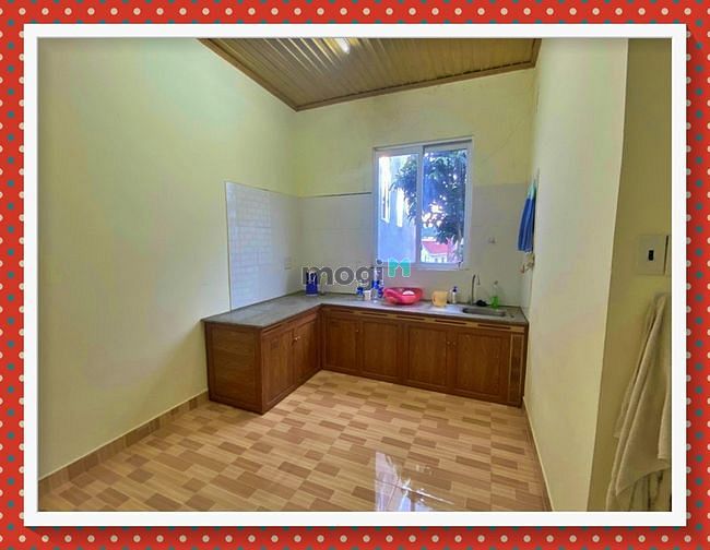 Hình ảnh 🏩 bán nhà cấp 4 ở mai hắc đế,phường 6,đà lạt ( 84m2 - 4 tỷ ) sổ