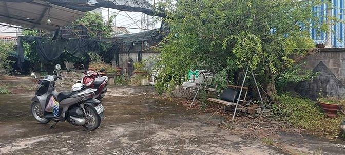 Hình ảnh Đất và nhà ngay chợ p2 thành phố Tân An Long An
