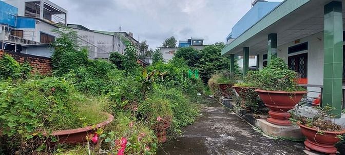 Hình ảnh Đất và nhà ngay chợ p2 thành phố Tân An Long An