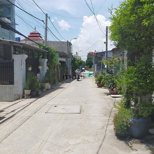 Hình ảnh Bán 2 Miếng Đất Thổ Cư MT Đường Nhựa 160m2 SHR Công Chứng Trong Ngày