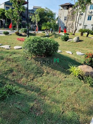 Hình ảnh Bán đất 