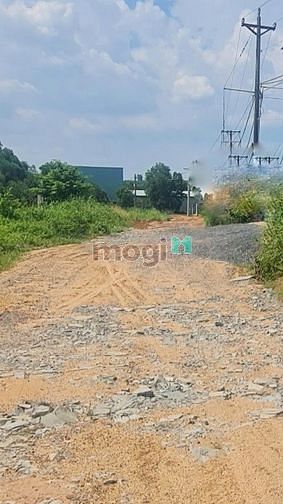Hình ảnh Bán 5500m2 Xưởng Bình Minh, Trảng Bom
