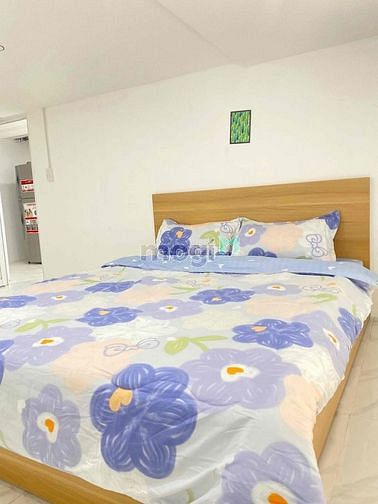 Hình ảnh Cho thuê Trang Chủ MB66.COM / Đăng Ký Tặng 66K 2 pn nội thất cơ bản