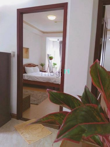 Hình ảnh Căn Hộ 2PN Cao Cấp Free dịch vụ - Gần CV Lê Văn Tám Quận 1