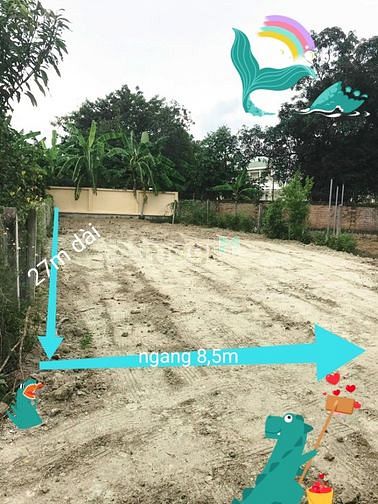 Hình ảnh Bán đất ở diên thọ diên khánh khánh hoà