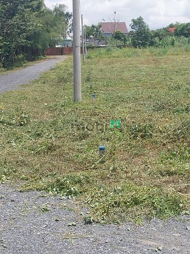 Hình ảnh Mua đất thổ giá rẻ sổ sẵn sang tên ngay, có 2 bên mặt tiền cực đẹp
