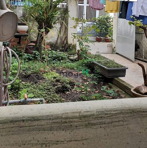 Hình ảnh THƠM cam kết THƠM - Mặt tiền Lê Đức Thọ 96m2 có 8 tỷ Phường 13 Gò Vấp