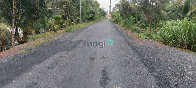 Hình ảnh Đất vườn đường nhựa ấp 4 xã Tân Thành Thủ Thừa Long An