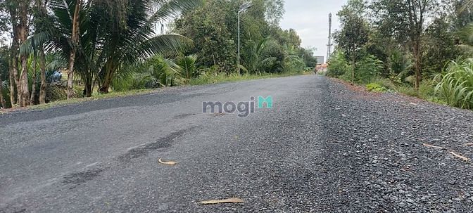 Hình ảnh Đất vườn đường nhựa ấp 4 xã Tân Thành Thủ Thừa Long An