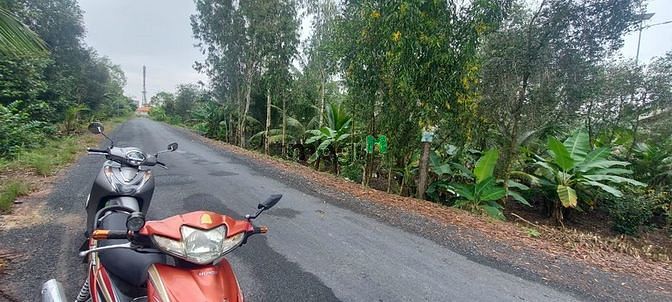 Hình ảnh Đất vườn đường nhựa ấp 4 xã Tân Thành Thủ Thừa Long An