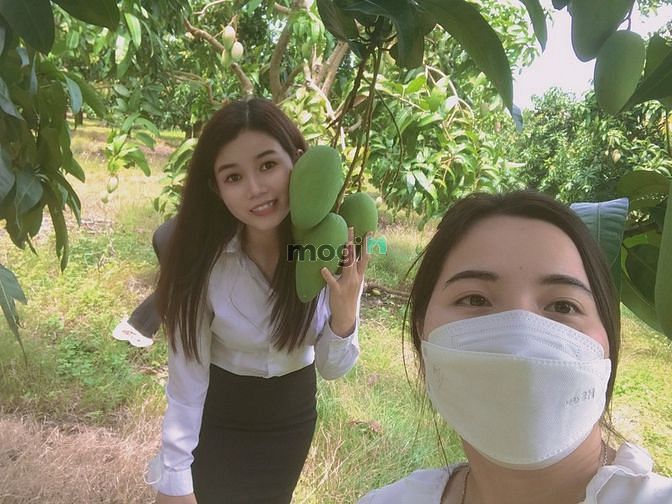 Hình ảnh Cần bán đất vườn xoài siêu đẹp, rẻ ở La Ngà - Định Quán