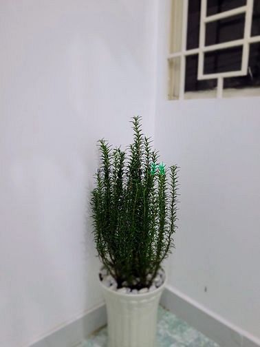 Hình ảnh 4.35 tỷ, nhà 2 lầu đúc, 2Pn, 3wc, 80m2 Sử dụng. Hẻm thoáng.