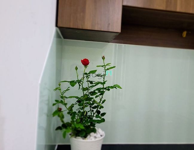 Hình ảnh 4.35 tỷ, nhà 2 lầu đúc, 2Pn, 3wc, 80m2 Sử dụng. Hẻm thoáng.
