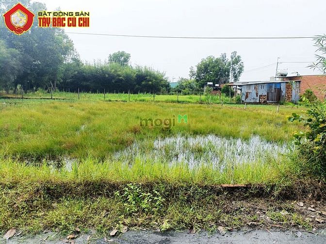 Hình ảnh Bán đất 1/ đường An Nhơn Tây - 229m2 - 8x29 - 214m2 thổ cư - Củ Chi