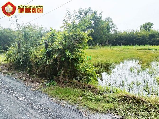 Hình ảnh Bán đất 1/ đường An Nhơn Tây - 229m2 - 8x29 - 214m2 thổ cư - Củ Chi