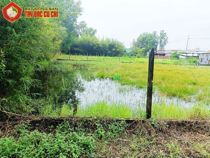 Hình ảnh Bán đất 1/ đường An Nhơn Tây - 229m2 - 8x29 - 214m2 thổ cư - Củ Chi