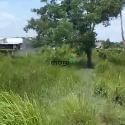 Hình ảnh Tôi Cần bán lô đất tại đường số 9 – phường Long Phước – TP. Thủ Đức
