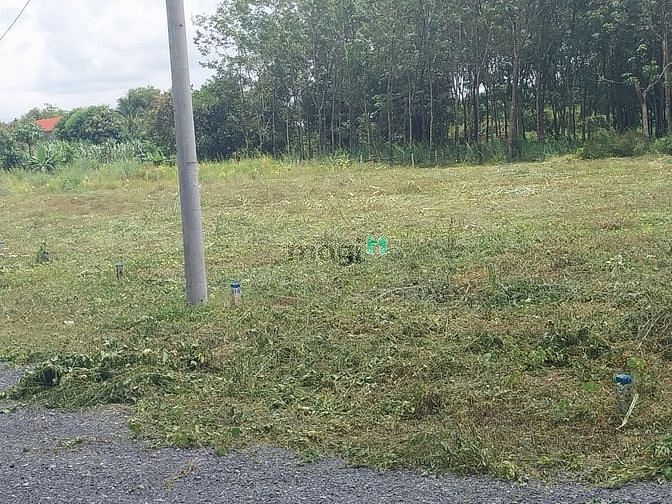 Hình ảnh Mua đất nền giá rẻ sổ sẵn sang tên ngay