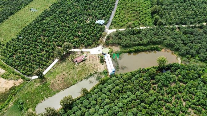 Hình ảnh Định Quán cần ra đi 1000m2 giá 8xxtr. Có sổ