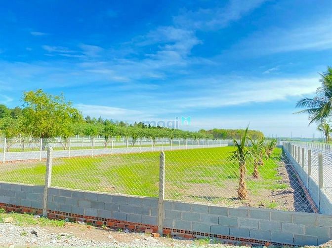 Hình ảnh Đất Vườn Củ Chi Giá Rẻ 1080m2 giá 2ty300 Sổ Riêng.