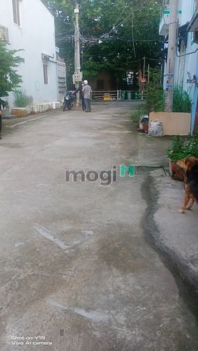 Hình ảnh - cho thuê nhà nguyên căn vĩnh phú