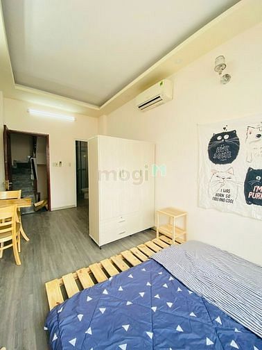 Hình ảnh ☔️2 3 con tôm hùm , hông ở thì ở lùm - HOÀNG VĂN THỤV-PN