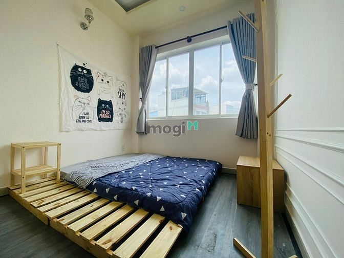 Hình ảnh ☔️2 3 con tôm hùm , hông ở thì ở lùm - HOÀNG VĂN THỤV-PN