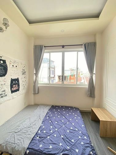 Hình ảnh ☔️2 3 con tôm hùm , hông ở thì ở lùm - HOÀNG VĂN THỤV-PN
