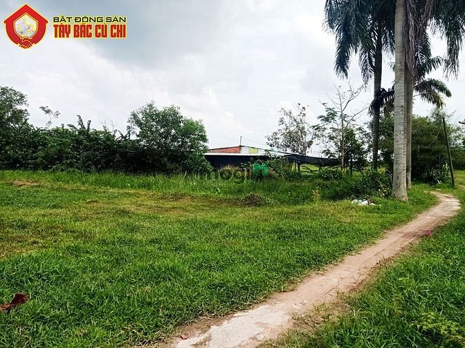 Hình ảnh Bán đất 1/ đường 530 - 1118m2 - 22x48 - 300m2 thổ cư - xã Nhuận Đức