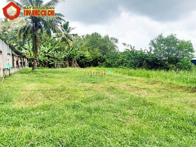 Hình ảnh Bán đất 1/ đường 530 - 1118m2 - 22x48 - 300m2 thổ cư - xã Nhuận Đức