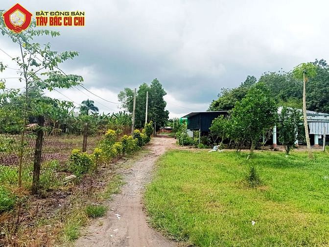 Hình ảnh Bán đất 1/ đường 530 - 1118m2 - 22x48 - 300m2 thổ cư - xã Nhuận Đức