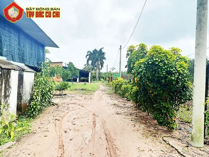 Hình ảnh Bán đất 1/ đường 530 - 1118m2 - 22x48 - 300m2 thổ cư - xã Nhuận Đức