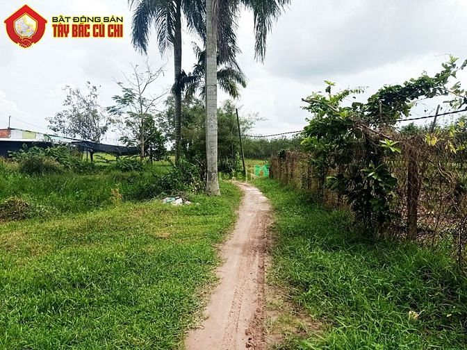 Hình ảnh Bán đất 1/ đường 530 - 1118m2 - 22x48 - 300m2 thổ cư - xã Nhuận Đức
