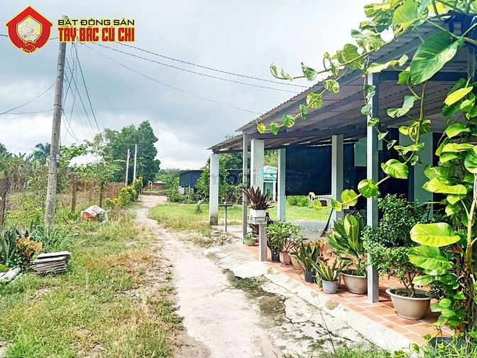 Hình ảnh Bán đất 1/ đường 530 - 1118m2 - 22x48 - 300m2 thổ cư - xã Nhuận Đức