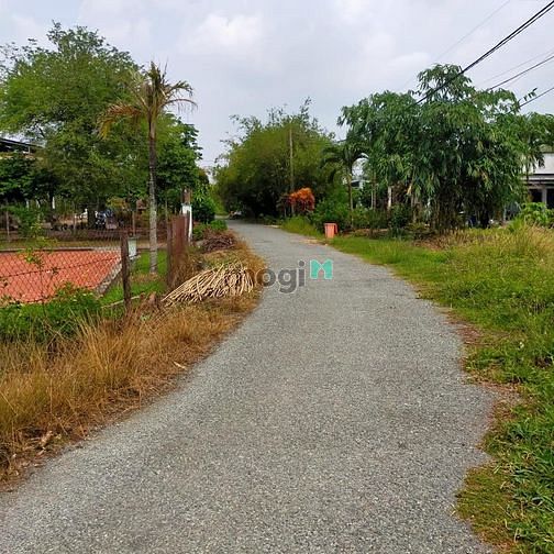 Hình ảnh Bán đất 175m2 chỉ 700 triệu Gò Dầu, TÂY NINH, SHR