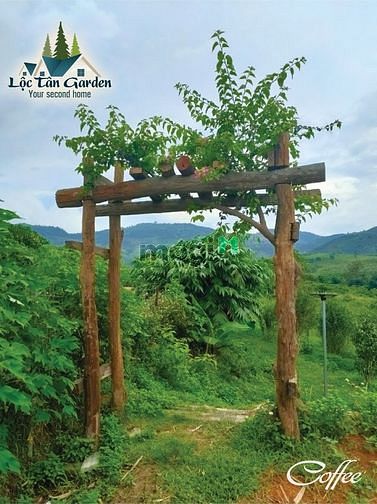 Hình ảnh Bán đất nền gần thành phố Bảo Lộc đã có sổ giá từ 900 triệu