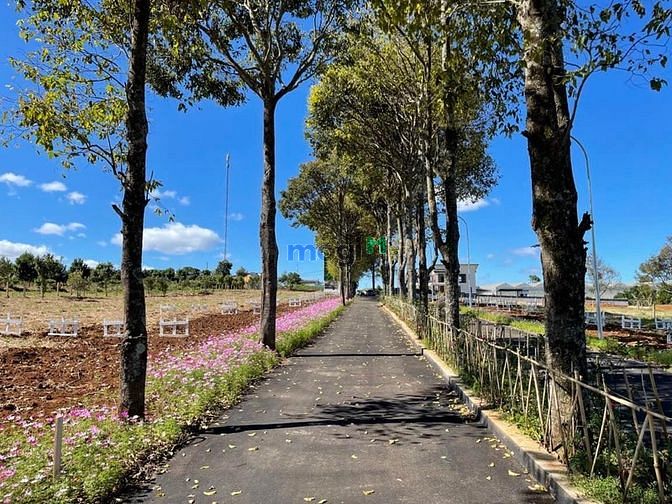 Hình ảnh Bán đất nền view đồi núi săn mây gần Đà Lạt giá chỉ 2.450 tỷ lổ 306m2