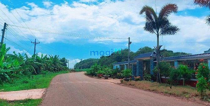 Hình ảnh Đất nền Long Thành có sẵn sổ công chứng liền