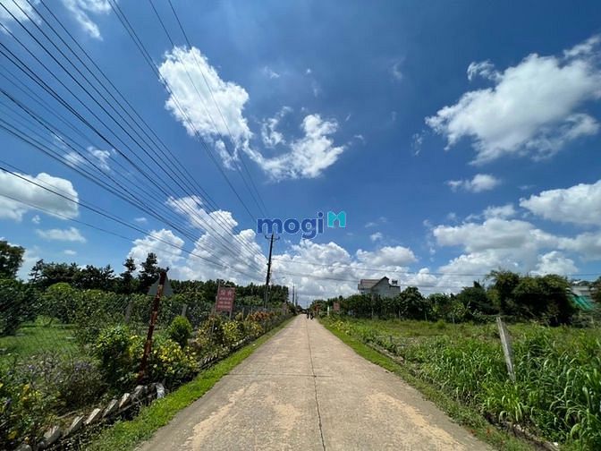 Hình ảnh Bán 4 Lô Đất SHR, Thổ Cư 88m2, Xã Bình Lợi, Vĩnh Cửu, hẻm oto, Hạ tầng