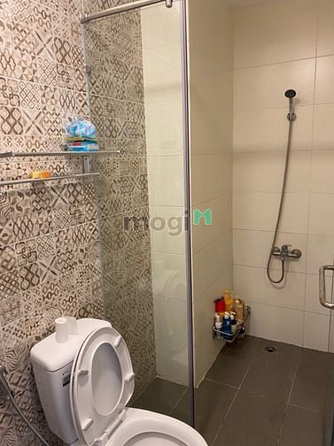 Hình ảnh Cho thuê Trang Chủ MB66.COM / Đăng Ký Tặng 66K 8X Plus Q12, 2pn, 2wc, giá 7tr3.